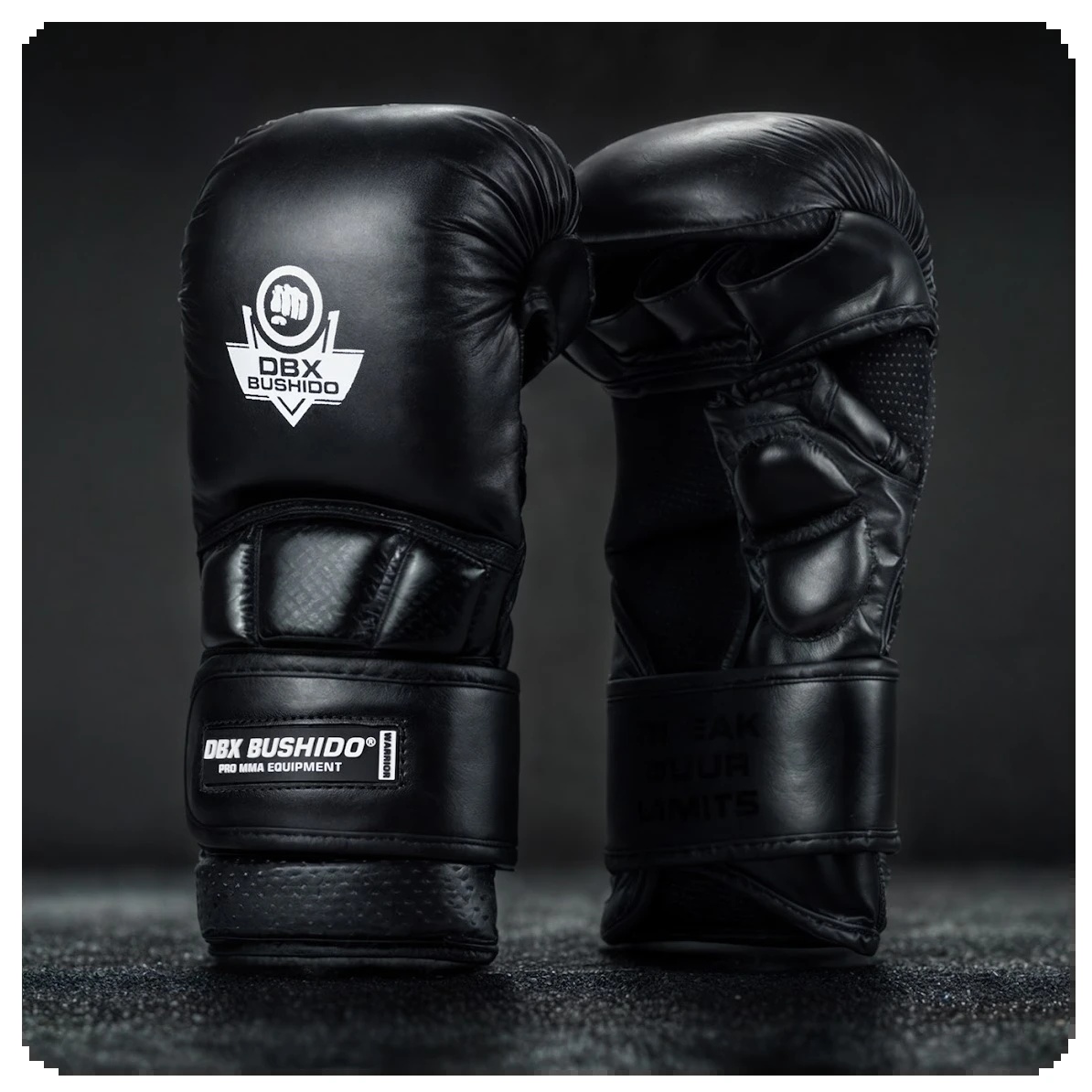 warriorblack